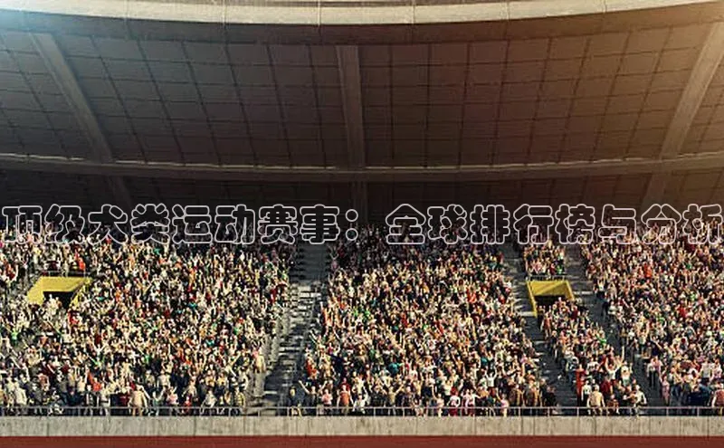 威廉希尔足球官网