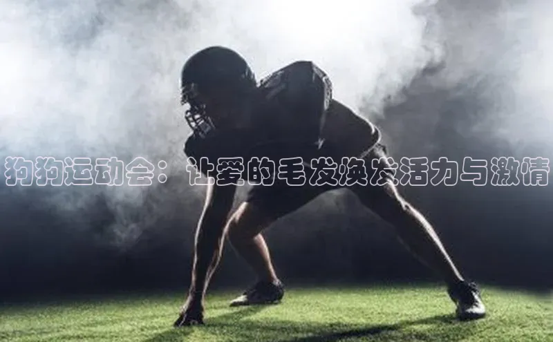WilliamHill中文官网